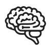 Brain principle